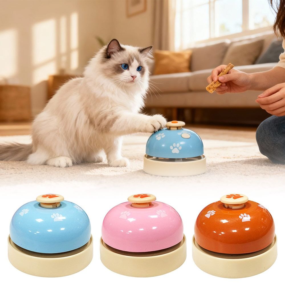 Food Storage For Restaurant - New Table Bell Call Bell Hand