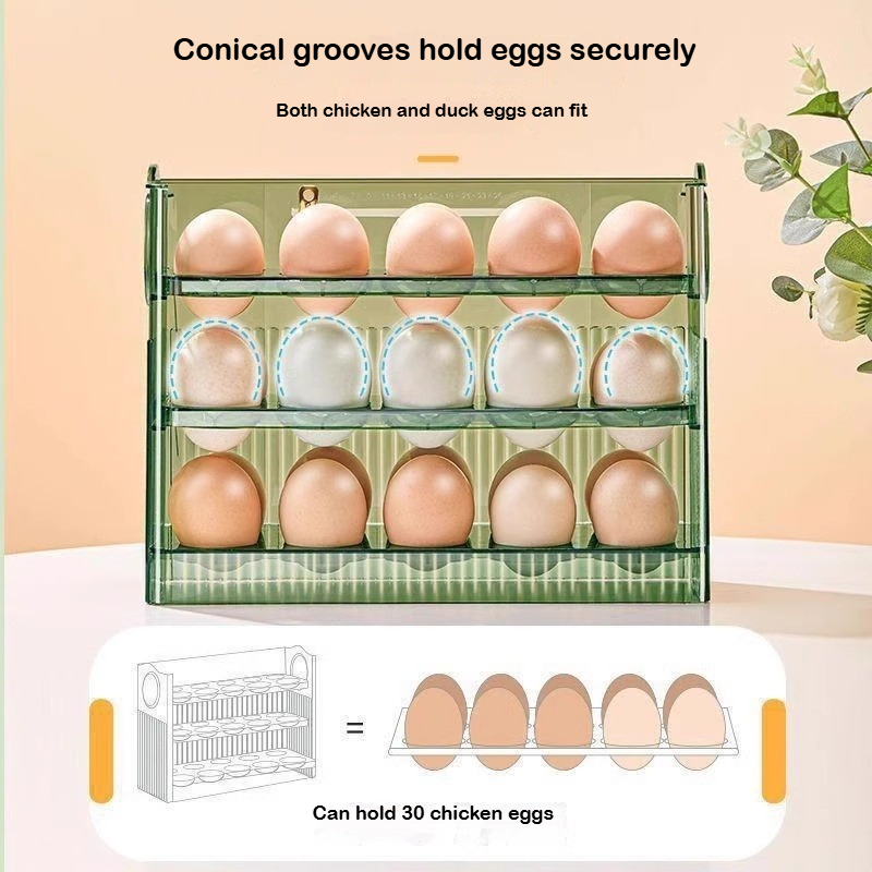 Automatic Rebound Egg Storage  - Food Storage Rack For Kitchen review and price
